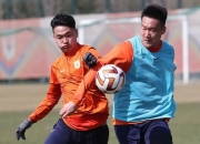 九游-F1常规赛，中原海豚队与关中铁骑队强势反弹，体能对抗拉满！防守强度拉满(四八空难牺牲的烈士)